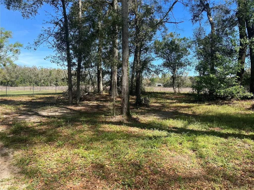 10304 NW 25th Court Branford FL 32008