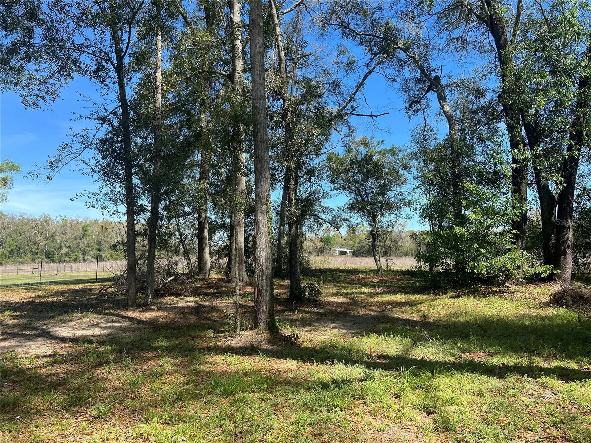 10304 NW 25th Court Branford FL 32008