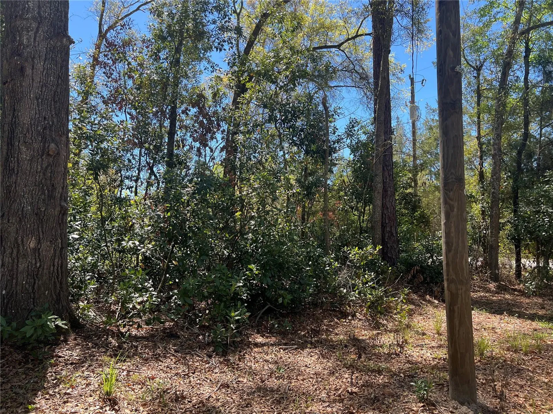 10304 NW 25th Court Branford FL 32008