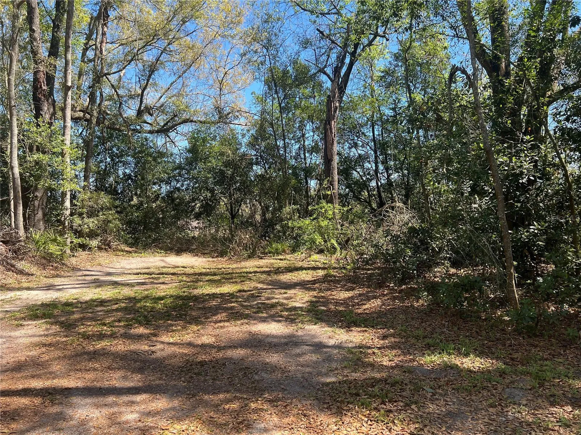 10304 NW 25th Court Branford FL 32008