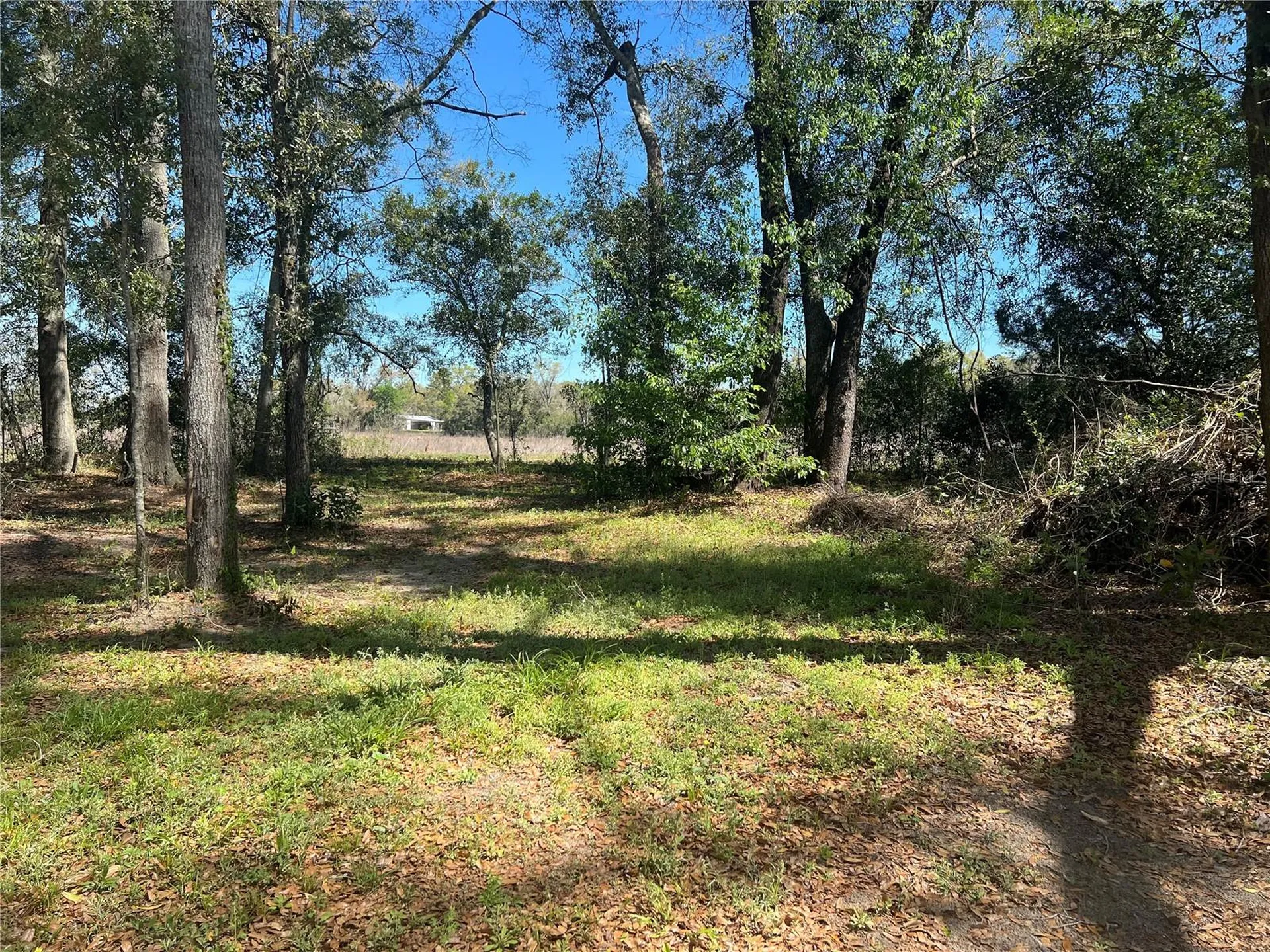 10304 NW 25th Court Branford FL 32008