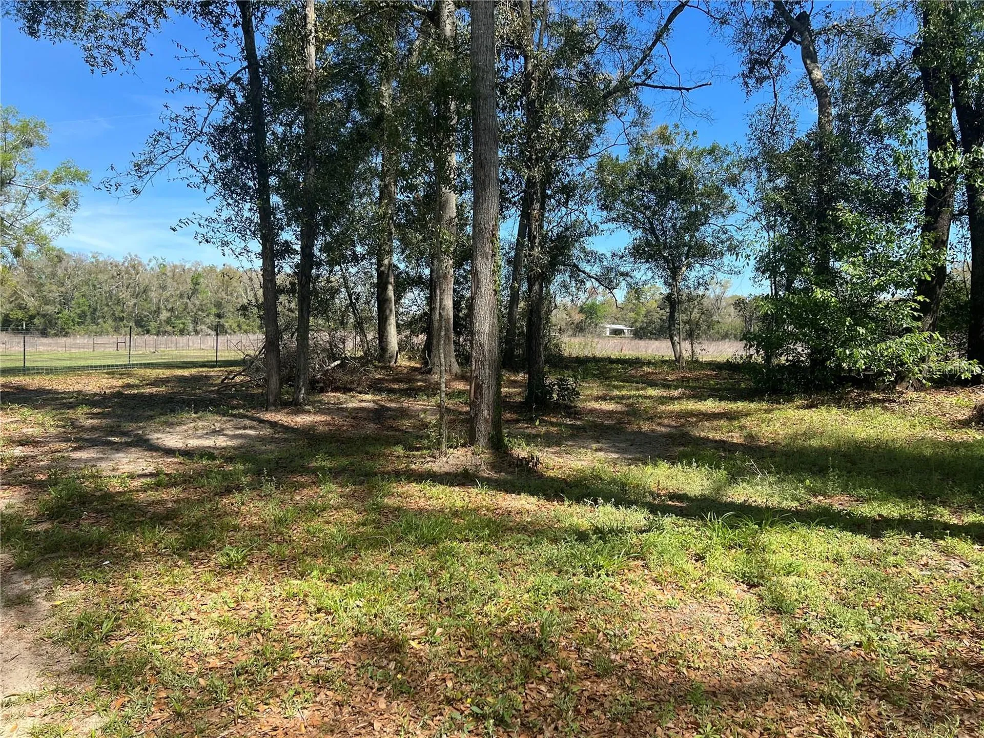 10304 NW 25th Court Branford FL 32008