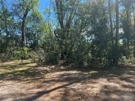 10304 NW 25th Court Branford FL 32008