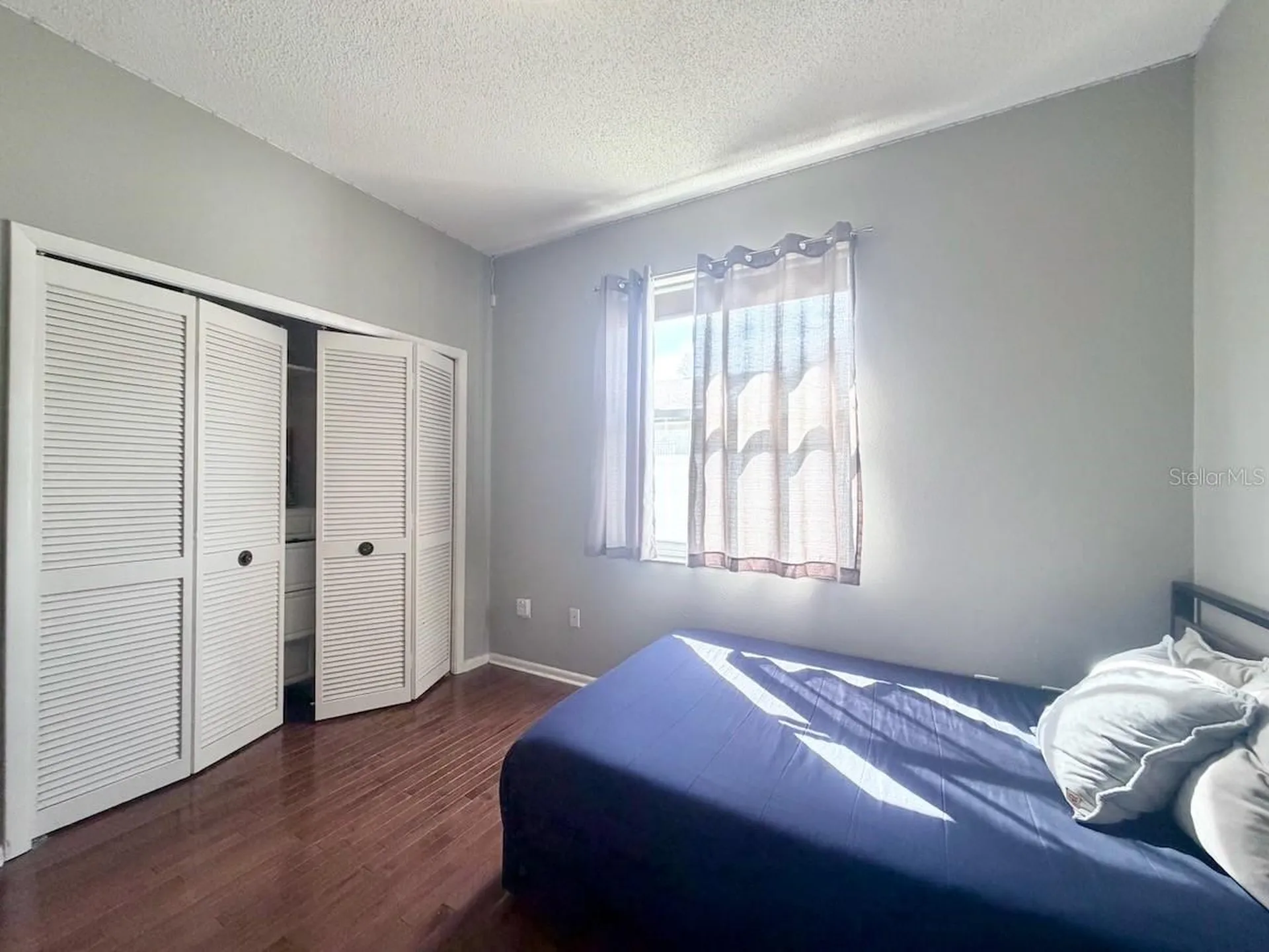 18408 Bittern Avenue Lutz FL 33558