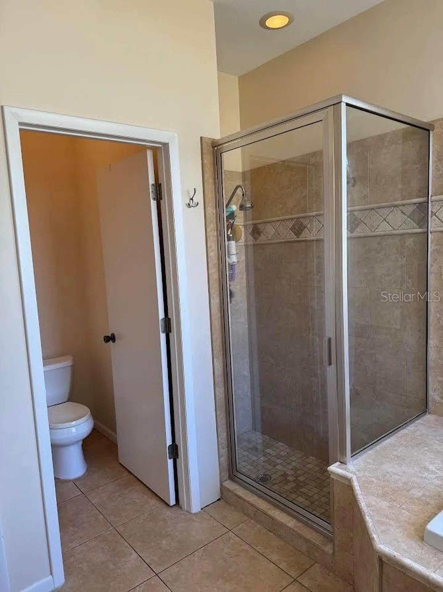 18408 Bittern Avenue Lutz FL 33558