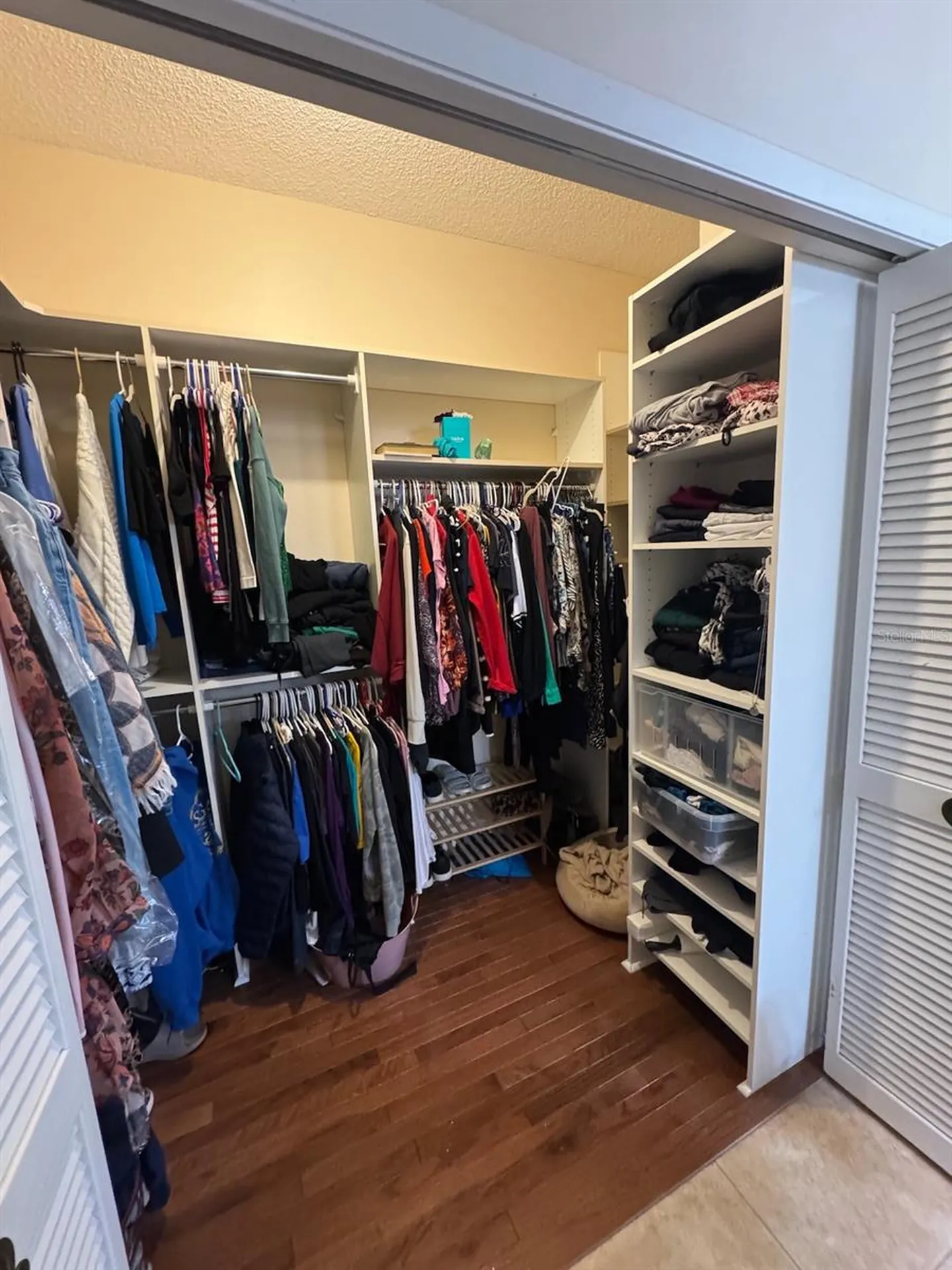 18408 Bittern Avenue Lutz FL 33558