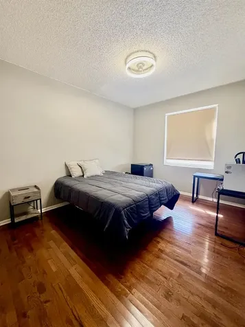 18408 Bittern Avenue Lutz FL 33558