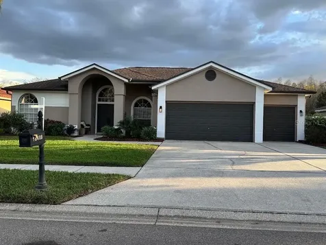 18408 Bittern Avenue Lutz FL 33558