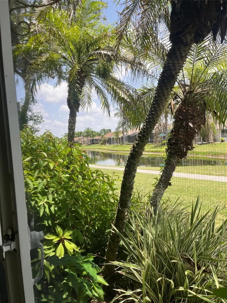 20750 Eustis Road Land O Lakes FL 34637
