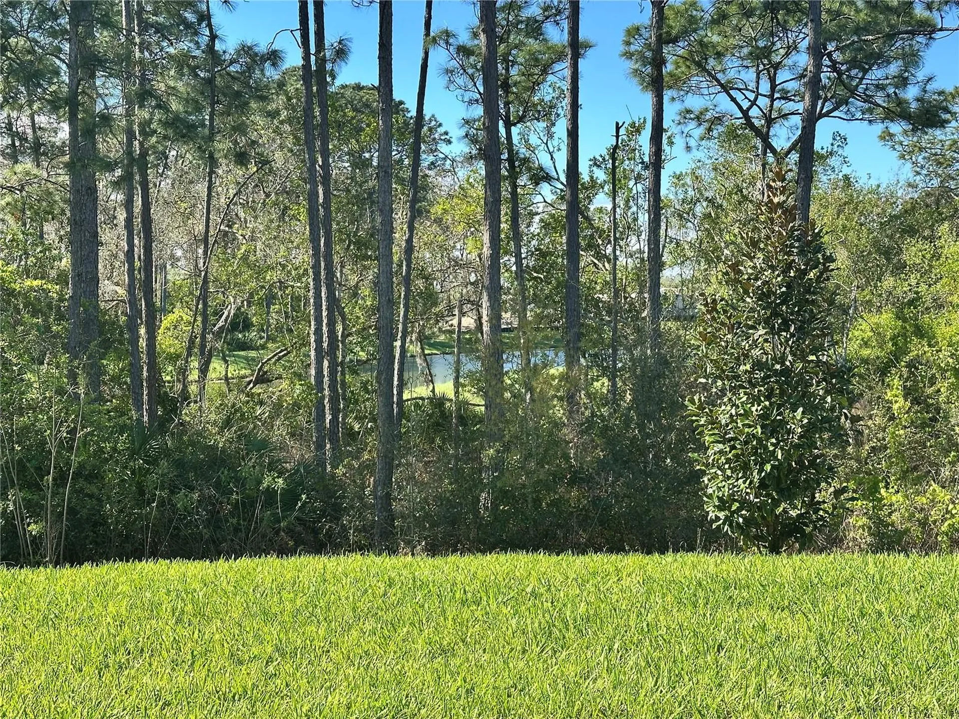 18386 Oliver Twist Way Winter Garden FL 34787