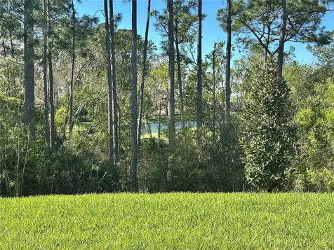 18386 Oliver Twist Way Winter Garden FL 34787