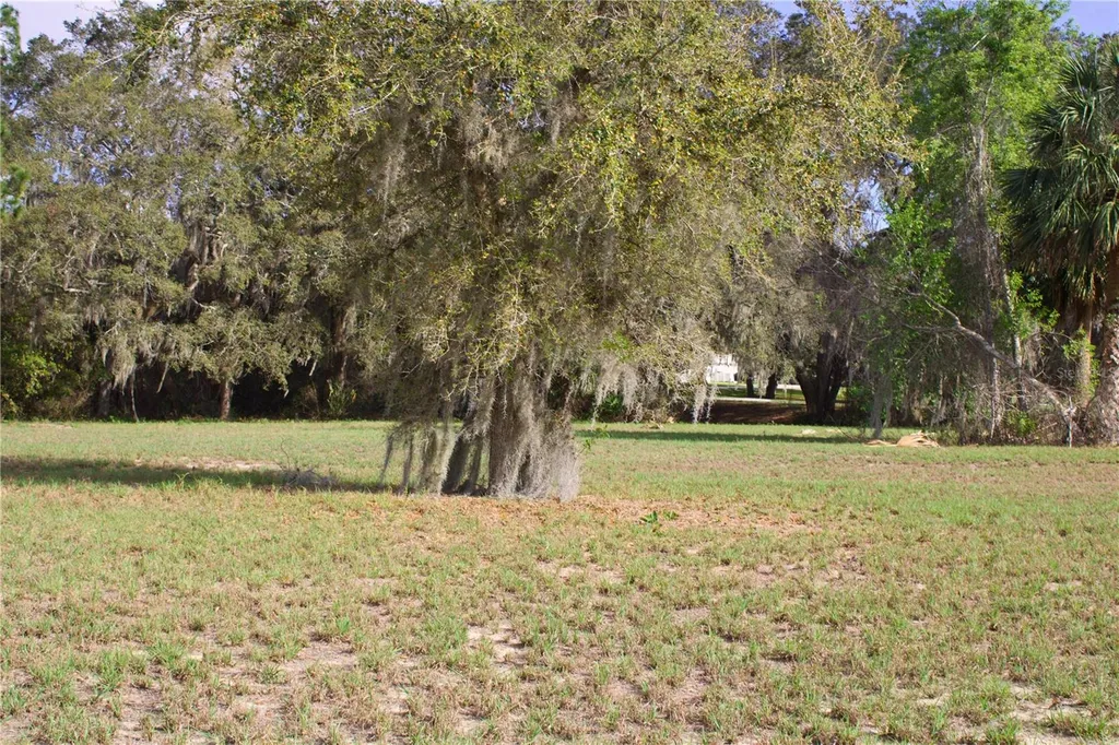 Silent Ridge Drive Tavares FL 32778