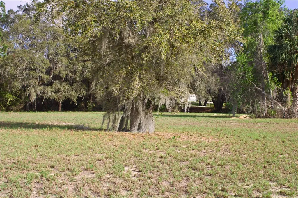 Silent Ridge Drive Tavares FL 32778