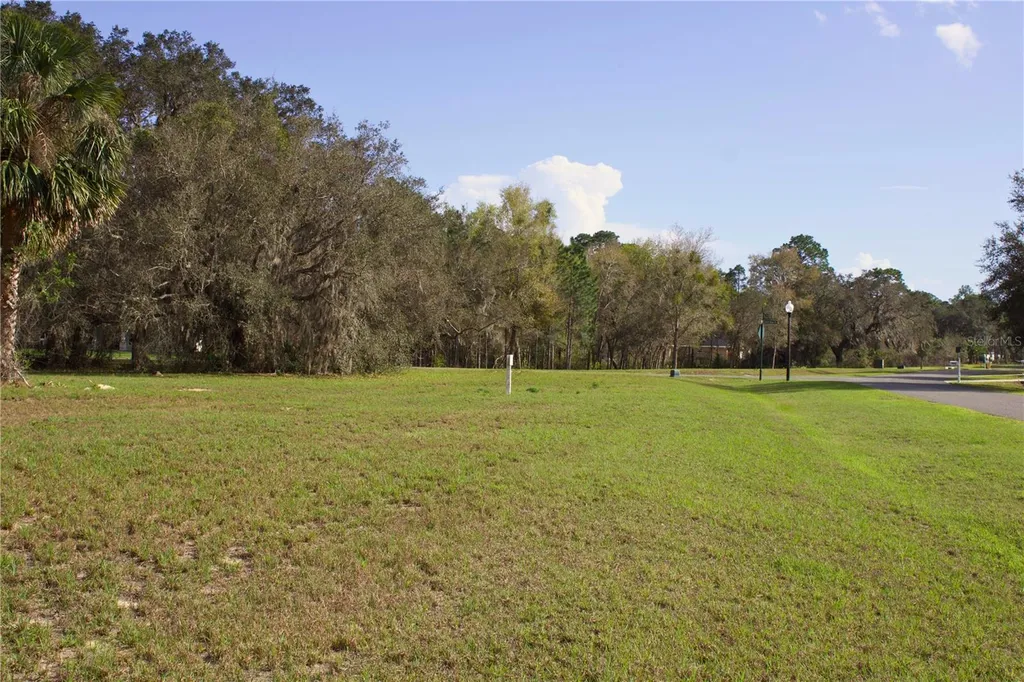 Silent Ridge Drive Tavares FL 32778
