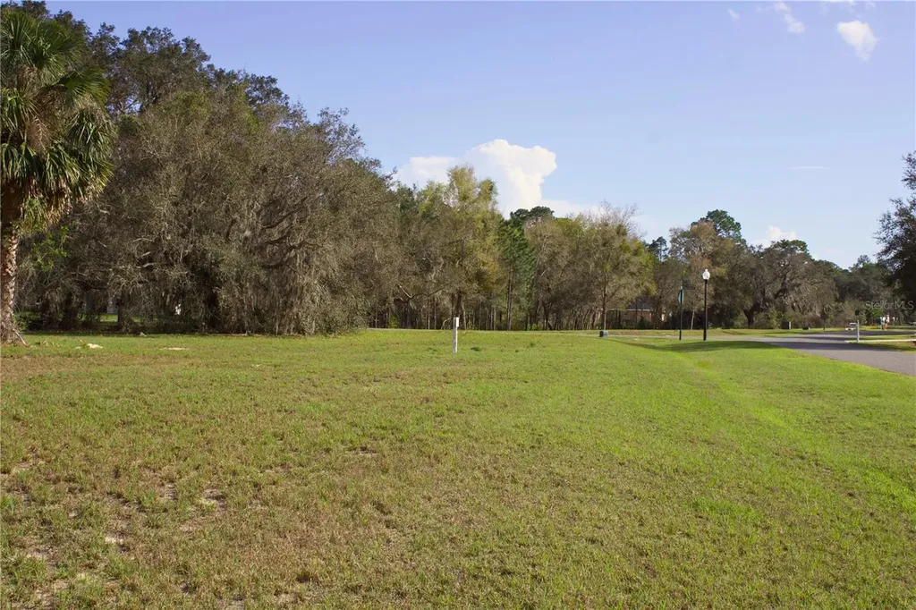 Silent Ridge Drive Tavares FL 32778