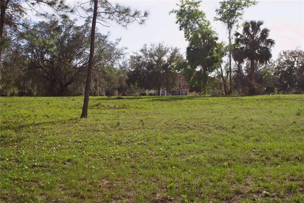 Silent Ridge Drive Tavares FL 32778