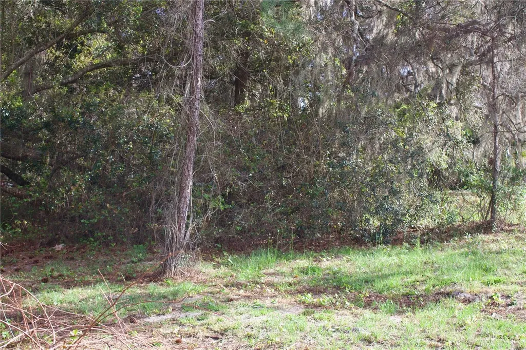Silent Ridge Drive Tavares FL 32778