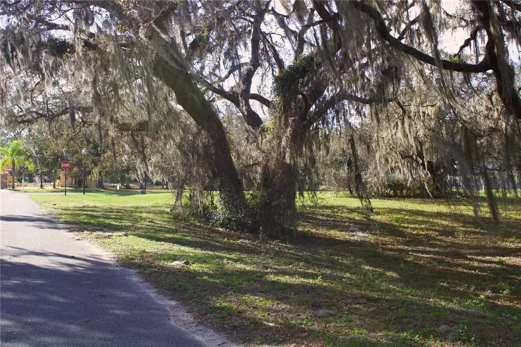 Silent Ridge Drive Tavares FL 32778