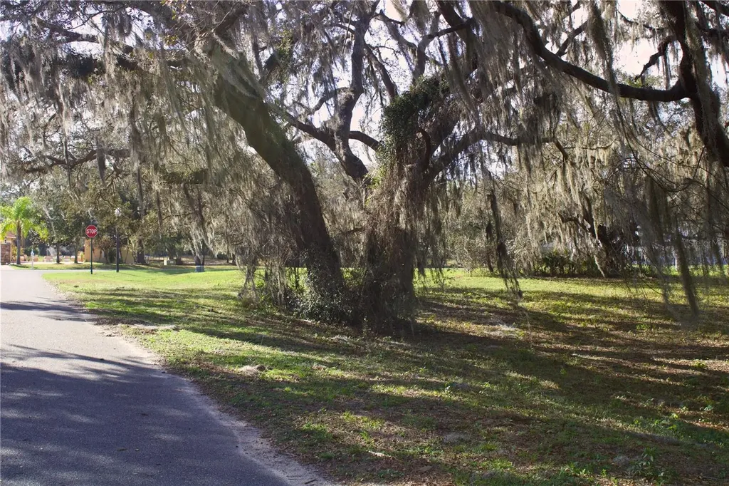 Silent Ridge Drive Tavares FL 32778
