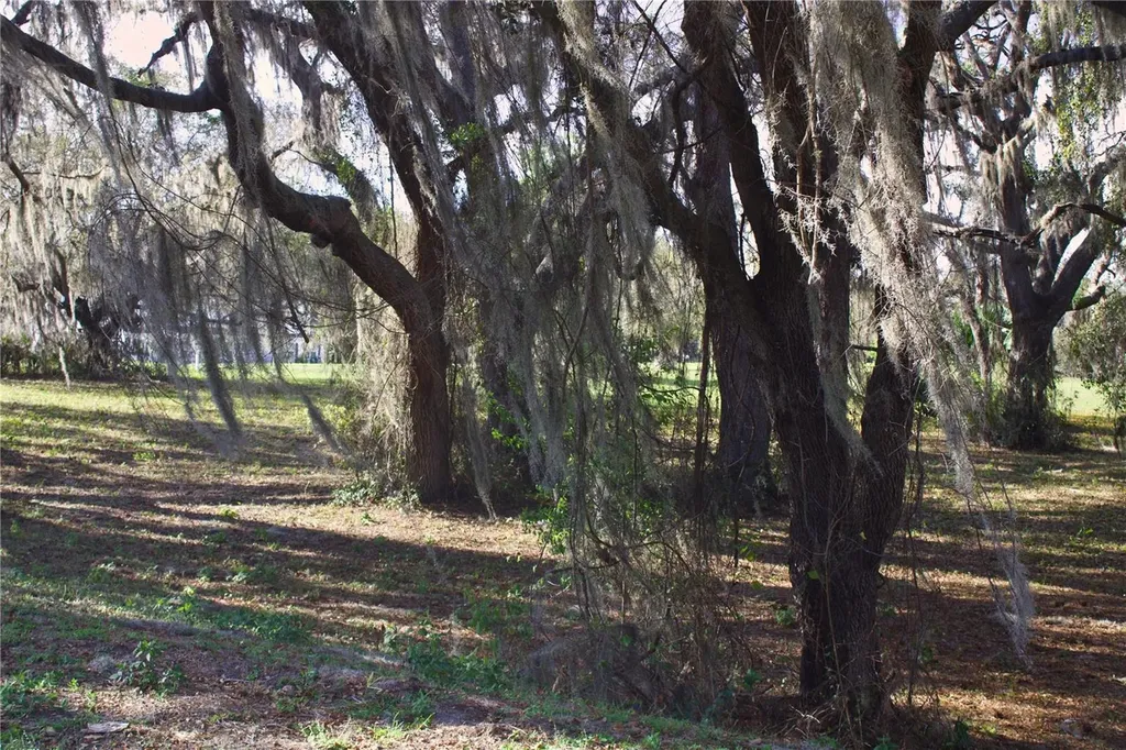Silent Ridge Drive Tavares FL 32778