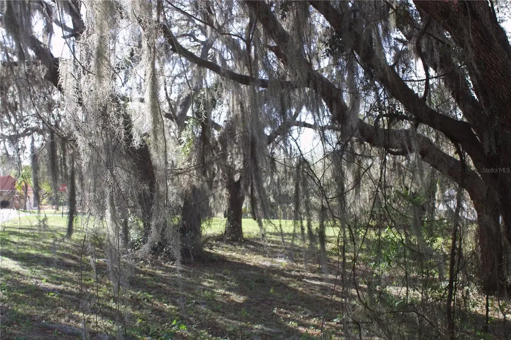 Silent Ridge Drive Tavares FL 32778