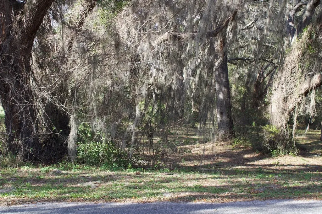 Silent Ridge Drive Tavares FL 32778