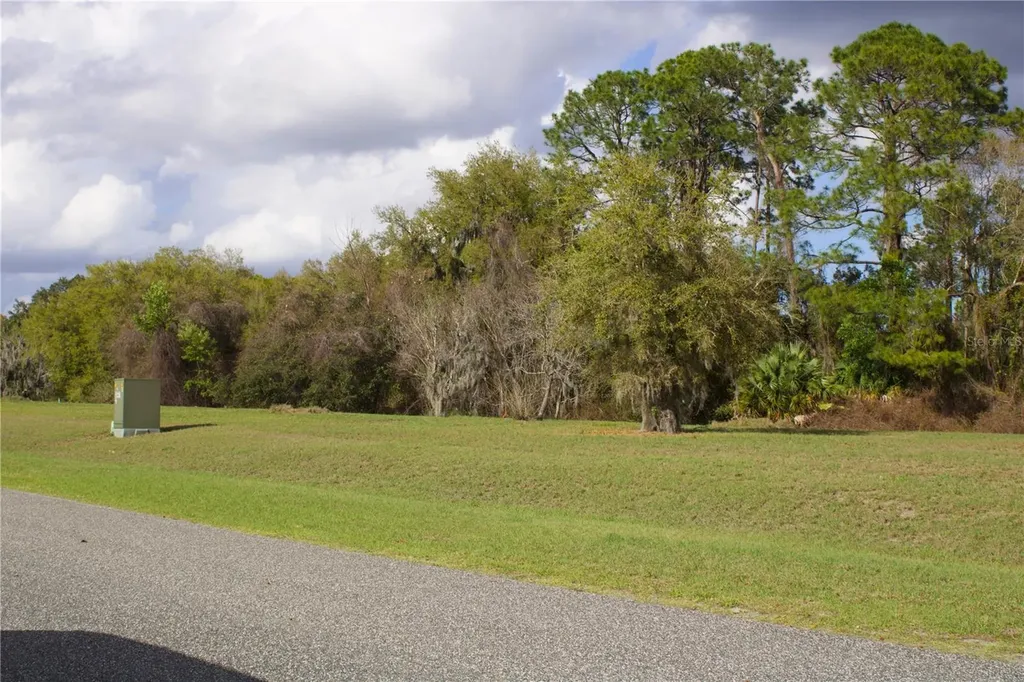 Silent Ridge Drive Tavares FL 32778