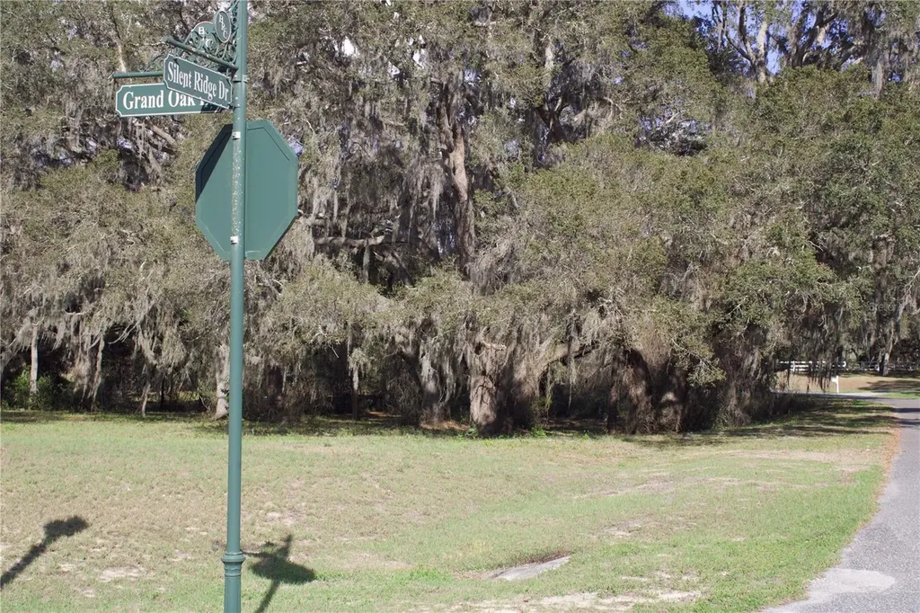 Silent Ridge Drive Tavares FL 32778