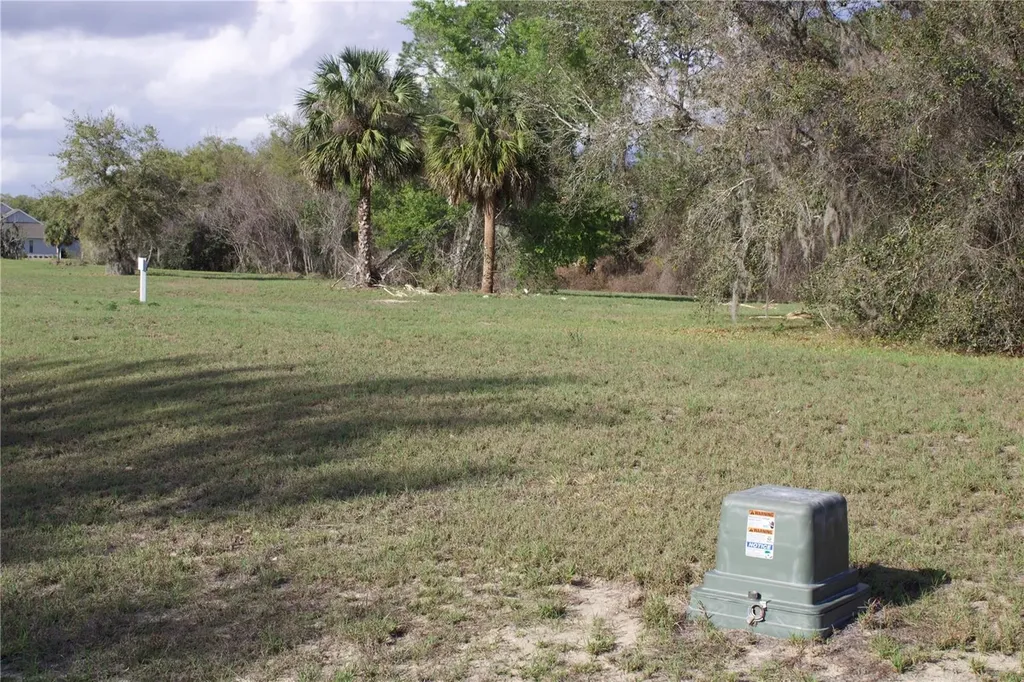 Silent Ridge Drive Tavares FL 32778