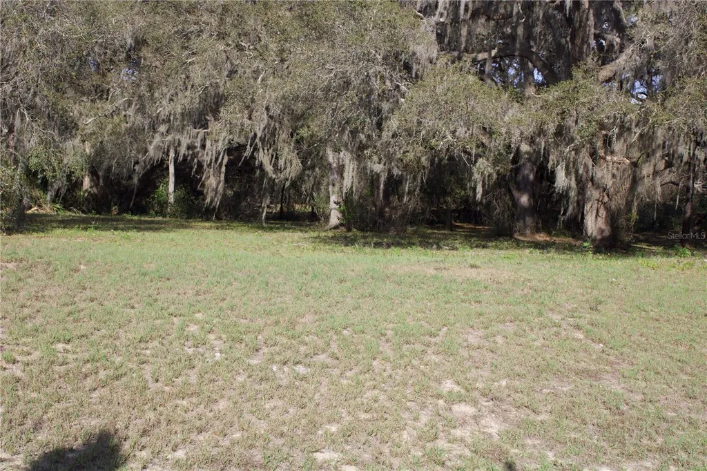 Silent Ridge Drive Tavares FL 32778