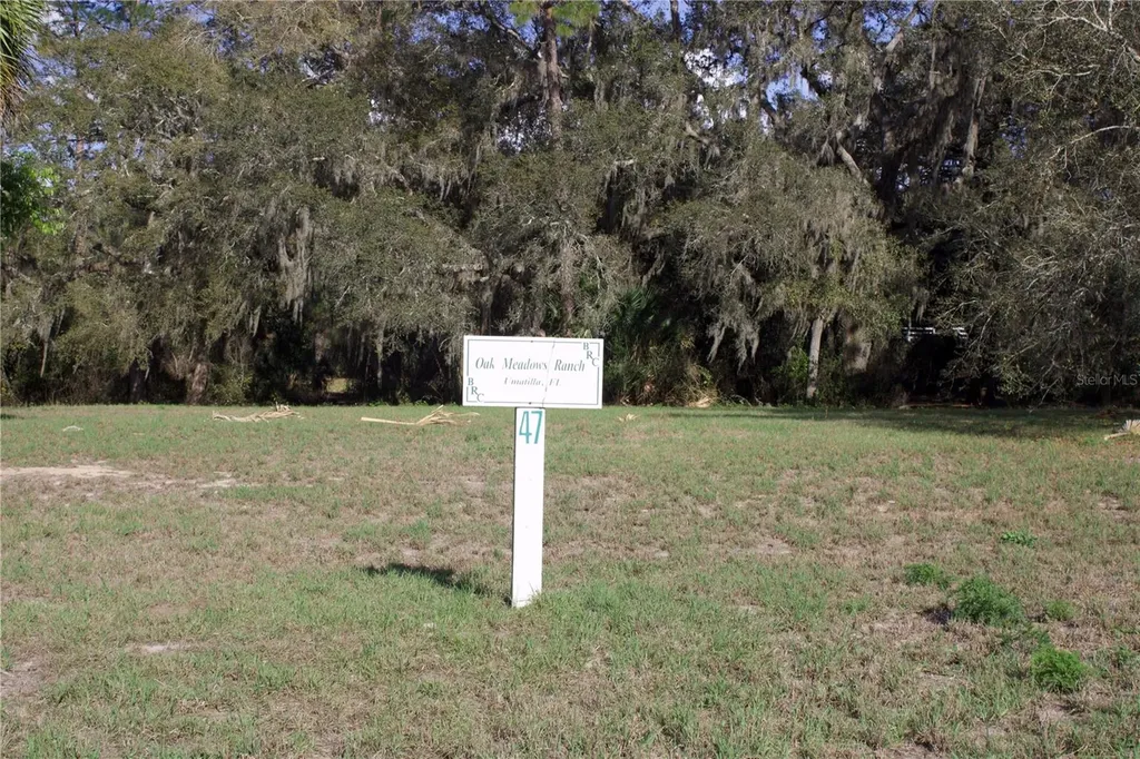 Silent Ridge Drive Tavares FL 32778