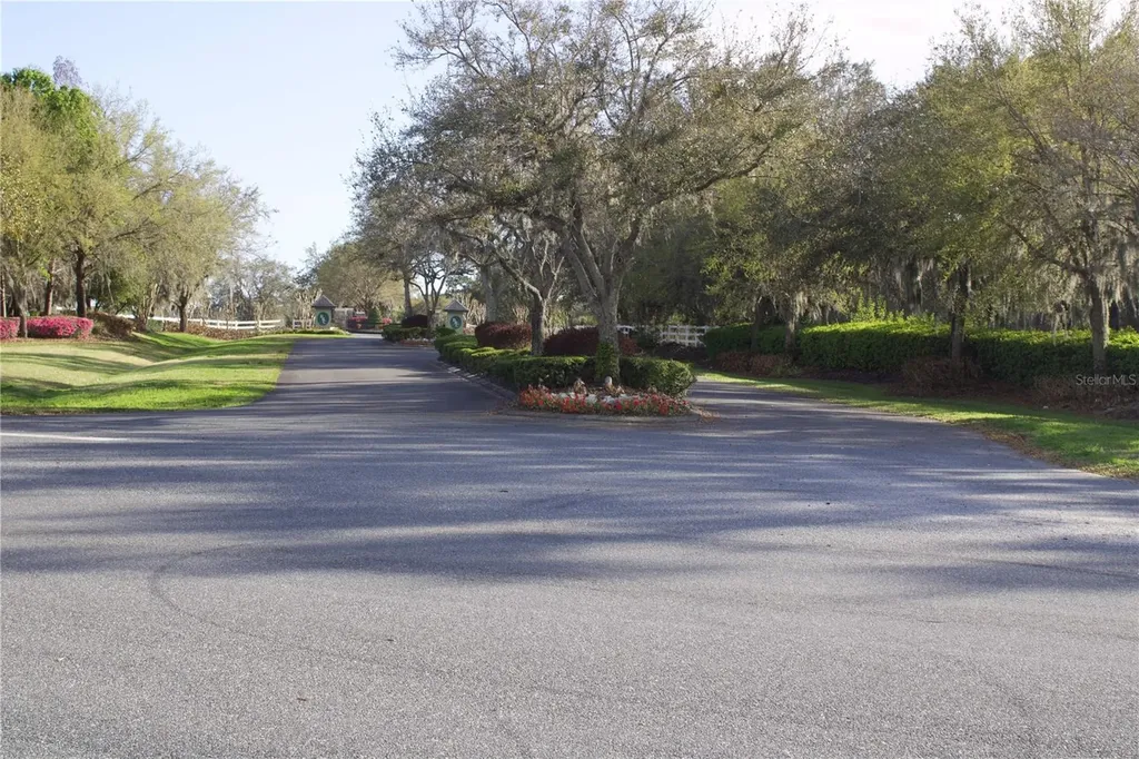 Silent Ridge Drive Tavares FL 32778
