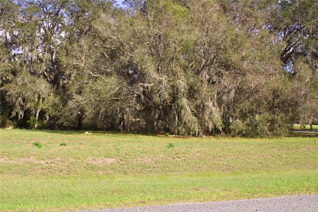 Silent Ridge Drive Tavares FL 32778