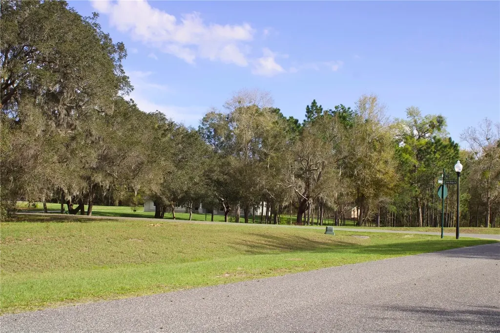 Silent Ridge Drive Tavares FL 32778