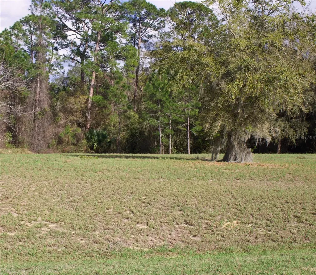 Silent Ridge Drive Tavares FL 32778