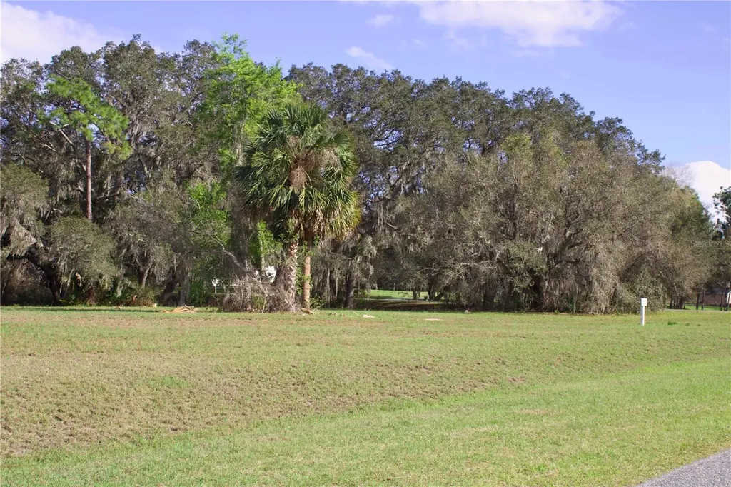 Silent Ridge Drive Tavares FL 32778