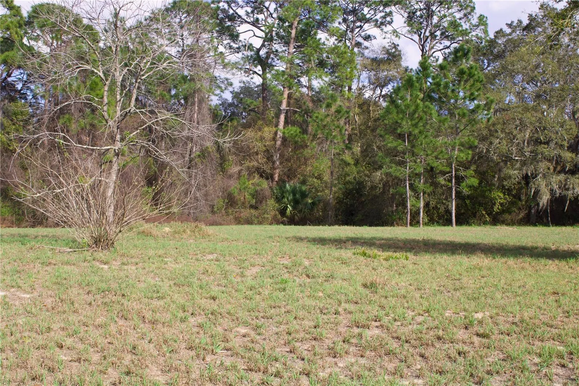 Silent Ridge Drive Tavares FL 32778