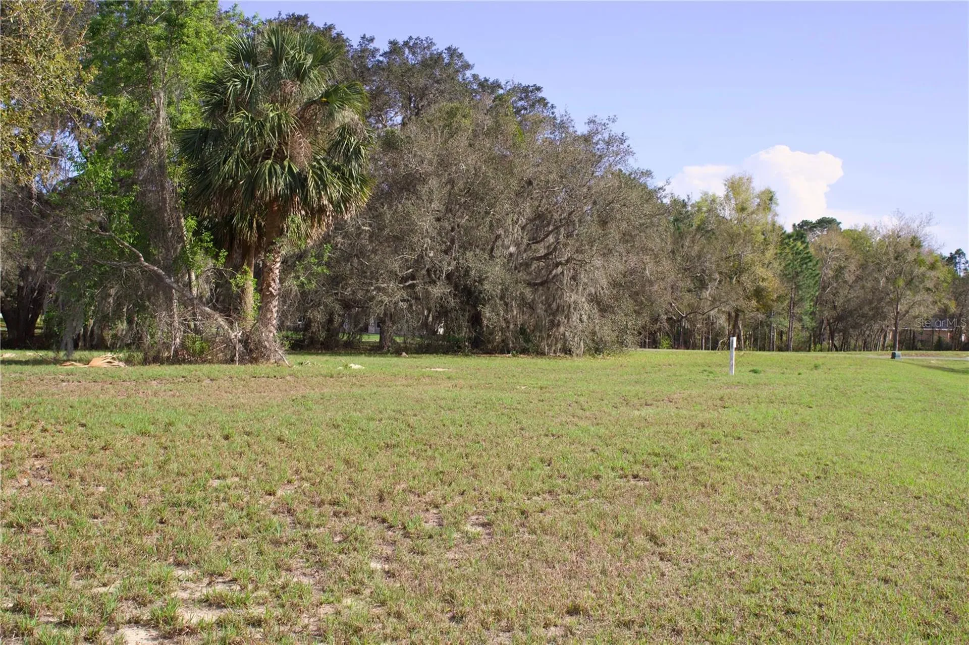 Silent Ridge Drive Tavares FL 32778