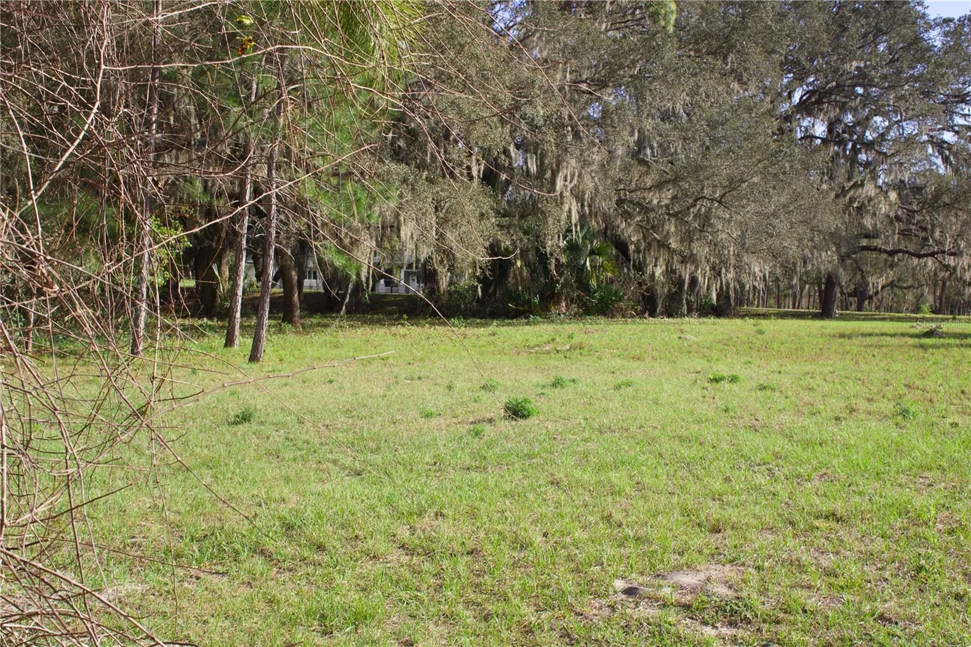 Silent Ridge Drive Tavares FL 32778