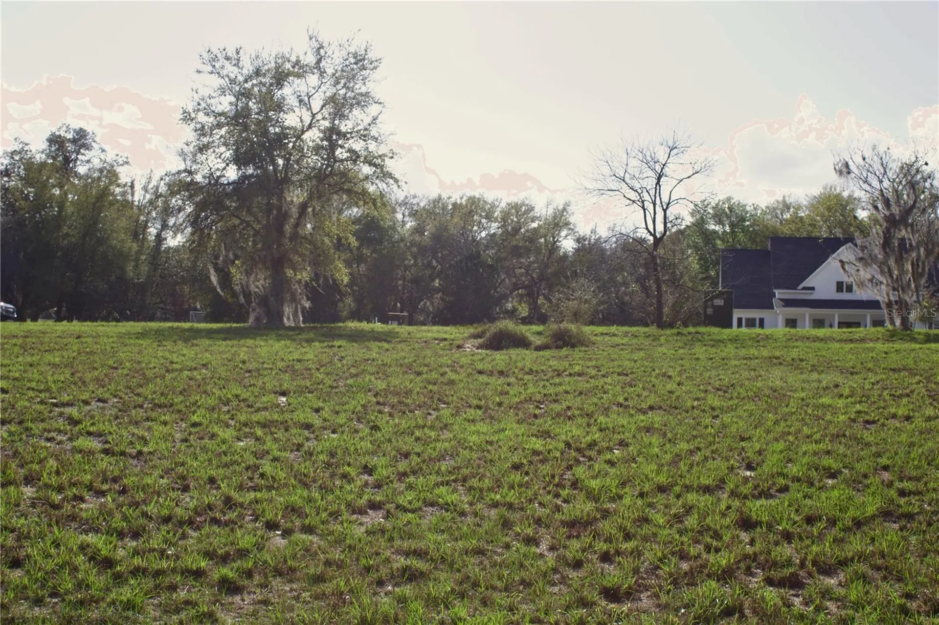Silent Ridge Drive Tavares FL 32778