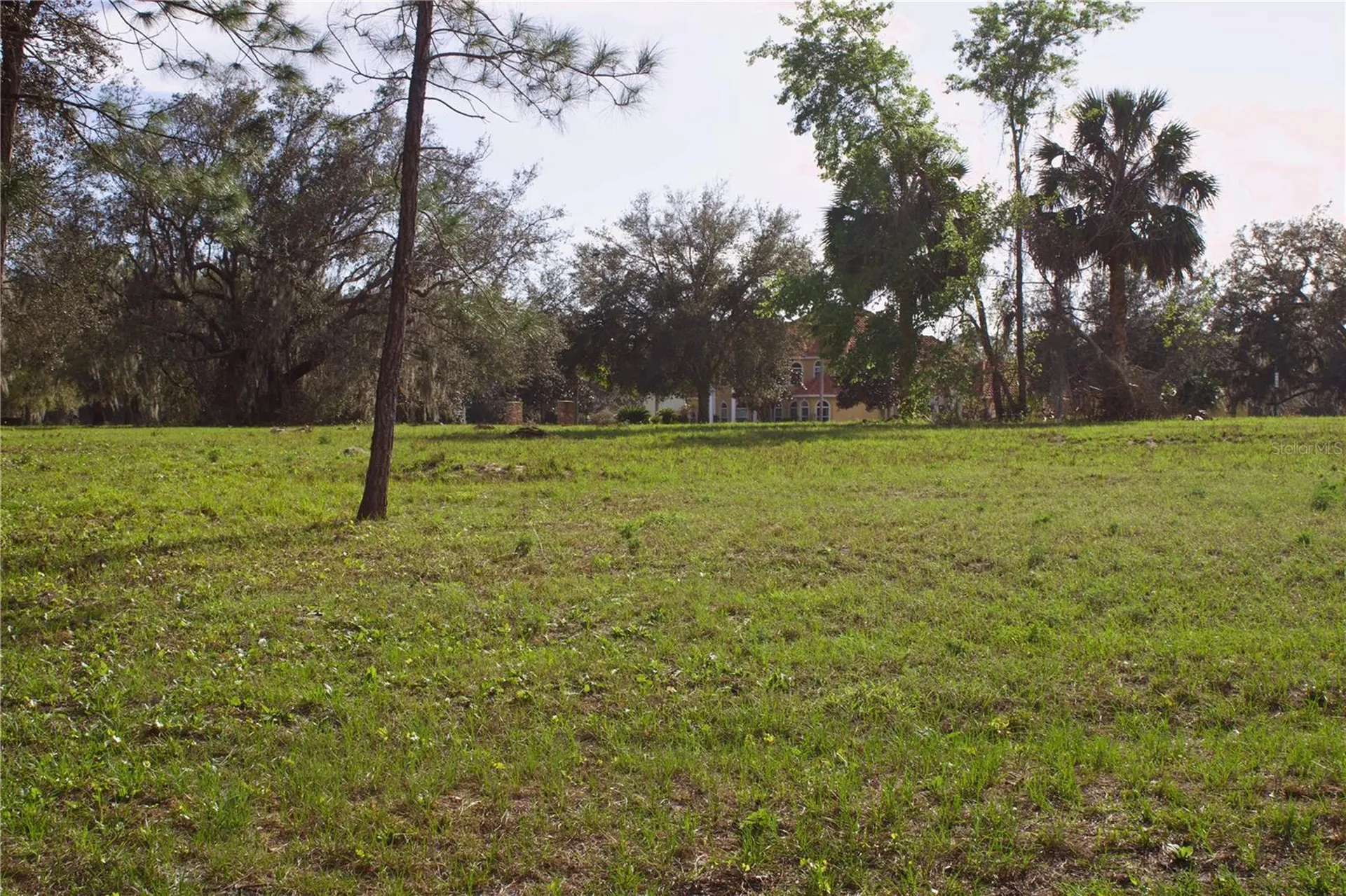 Silent Ridge Drive Tavares FL 32778
