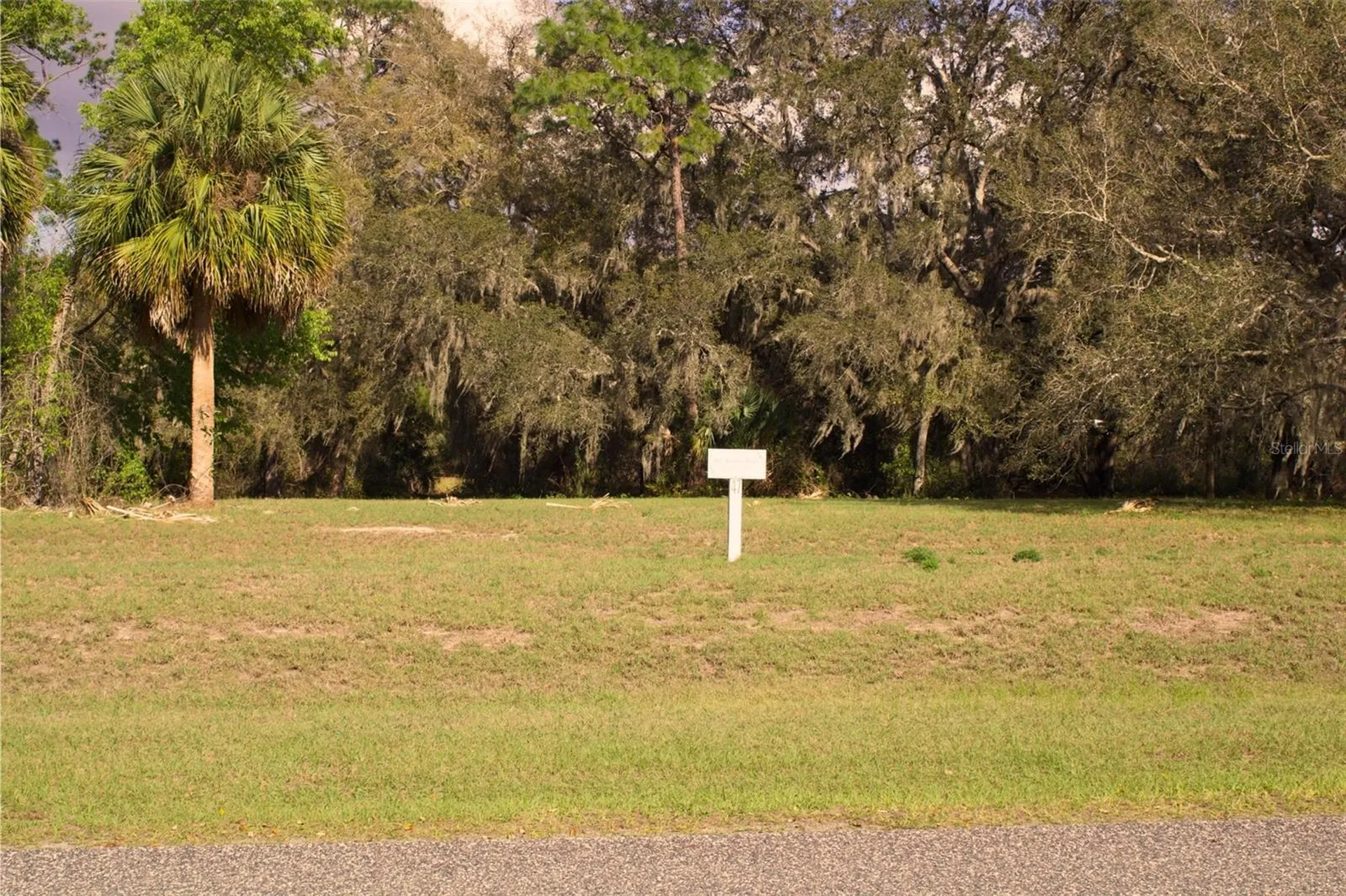Silent Ridge Drive Tavares FL 32778