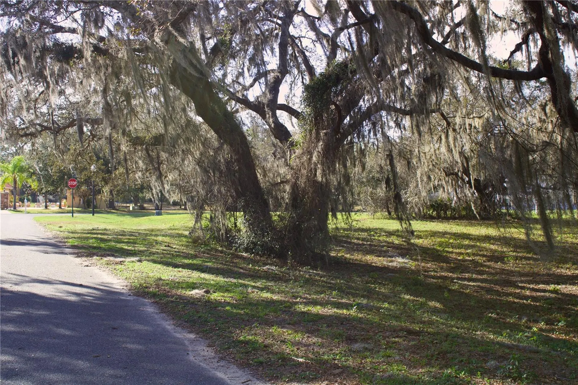 Silent Ridge Drive Tavares FL 32778