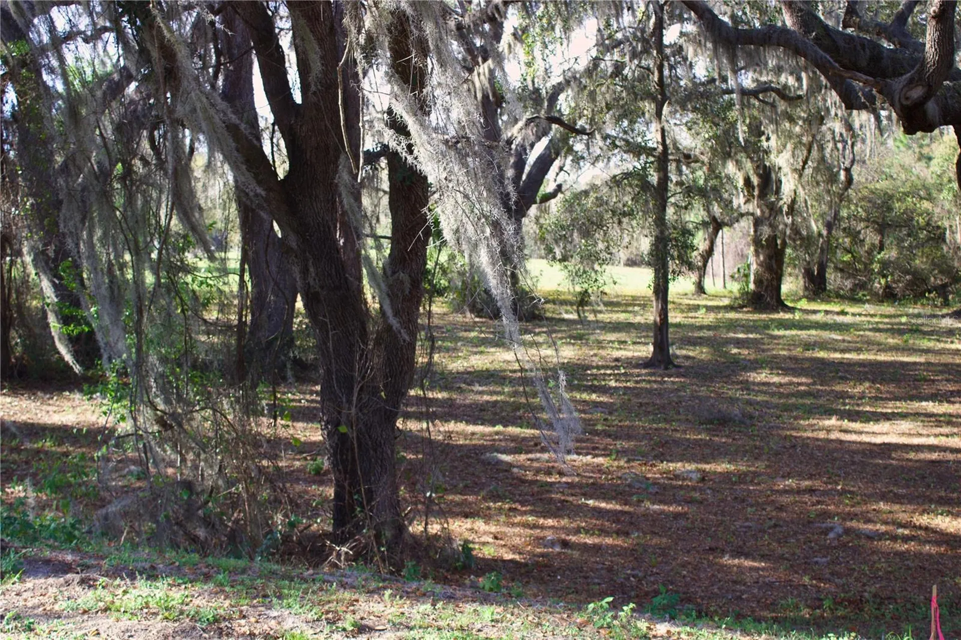 Silent Ridge Drive Tavares FL 32778