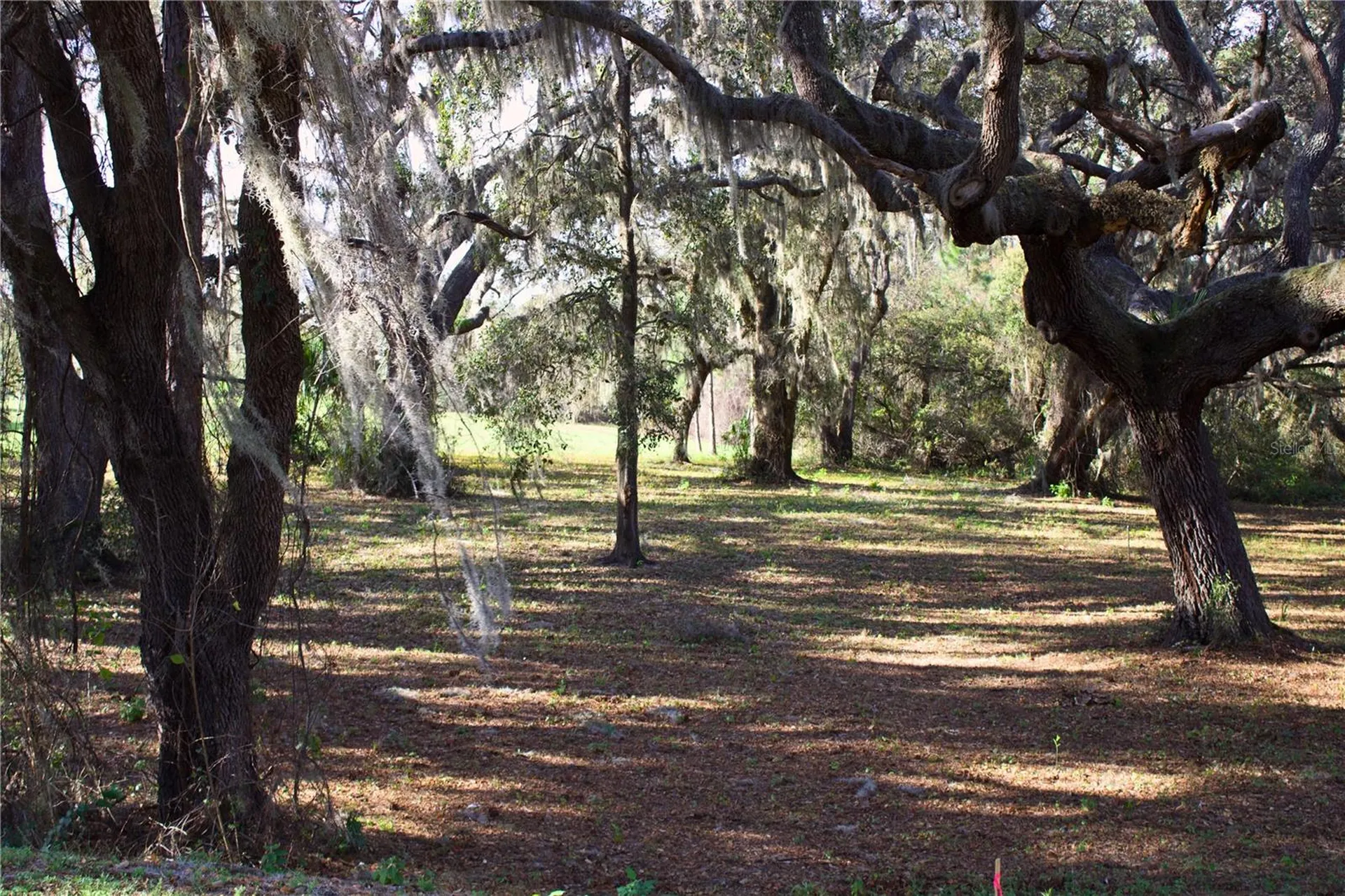 Silent Ridge Drive Tavares FL 32778