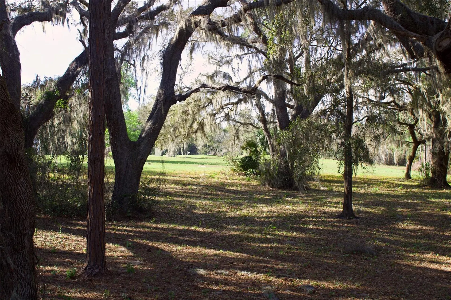 Silent Ridge Drive Tavares FL 32778