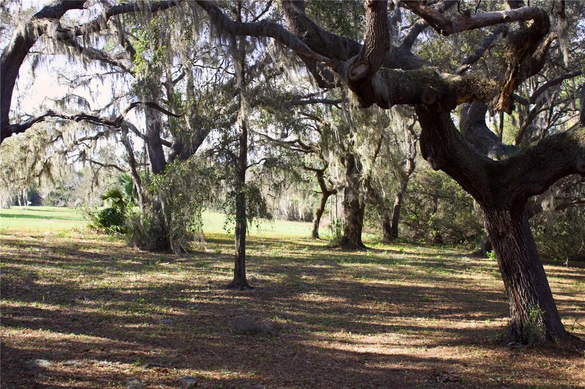 Silent Ridge Drive Tavares FL 32778