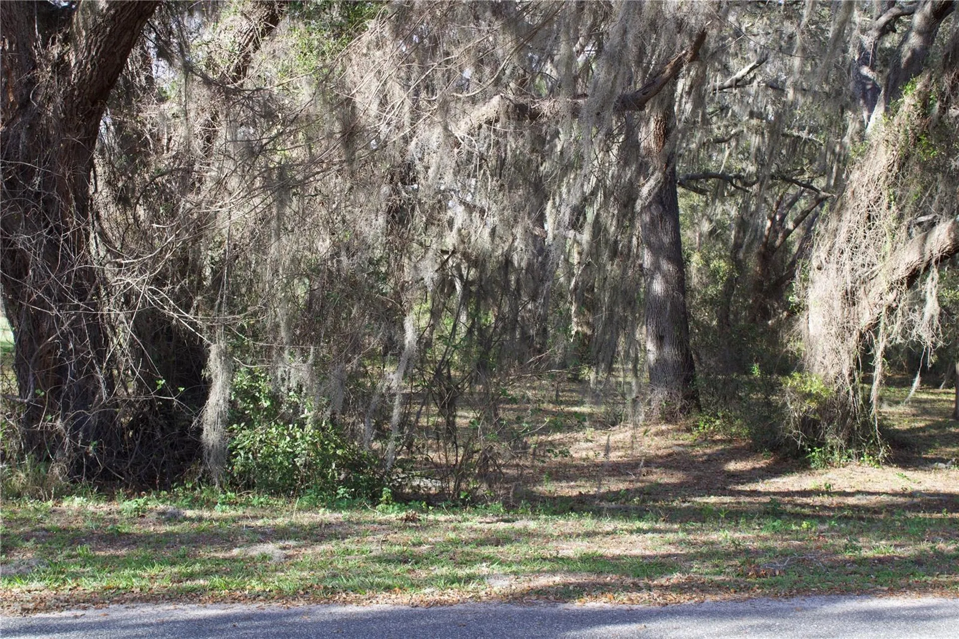 Silent Ridge Drive Tavares FL 32778