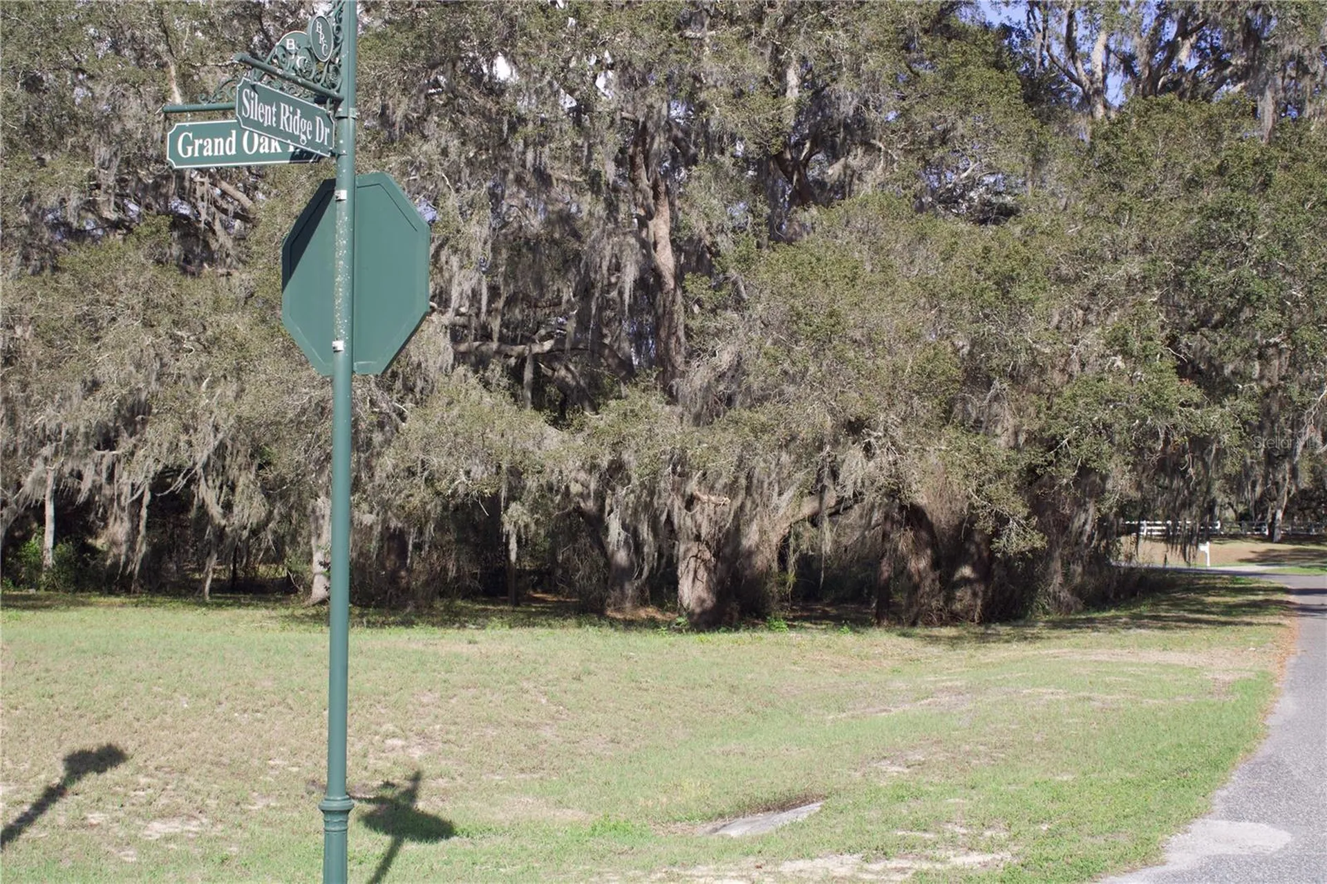 Silent Ridge Drive Tavares FL 32778