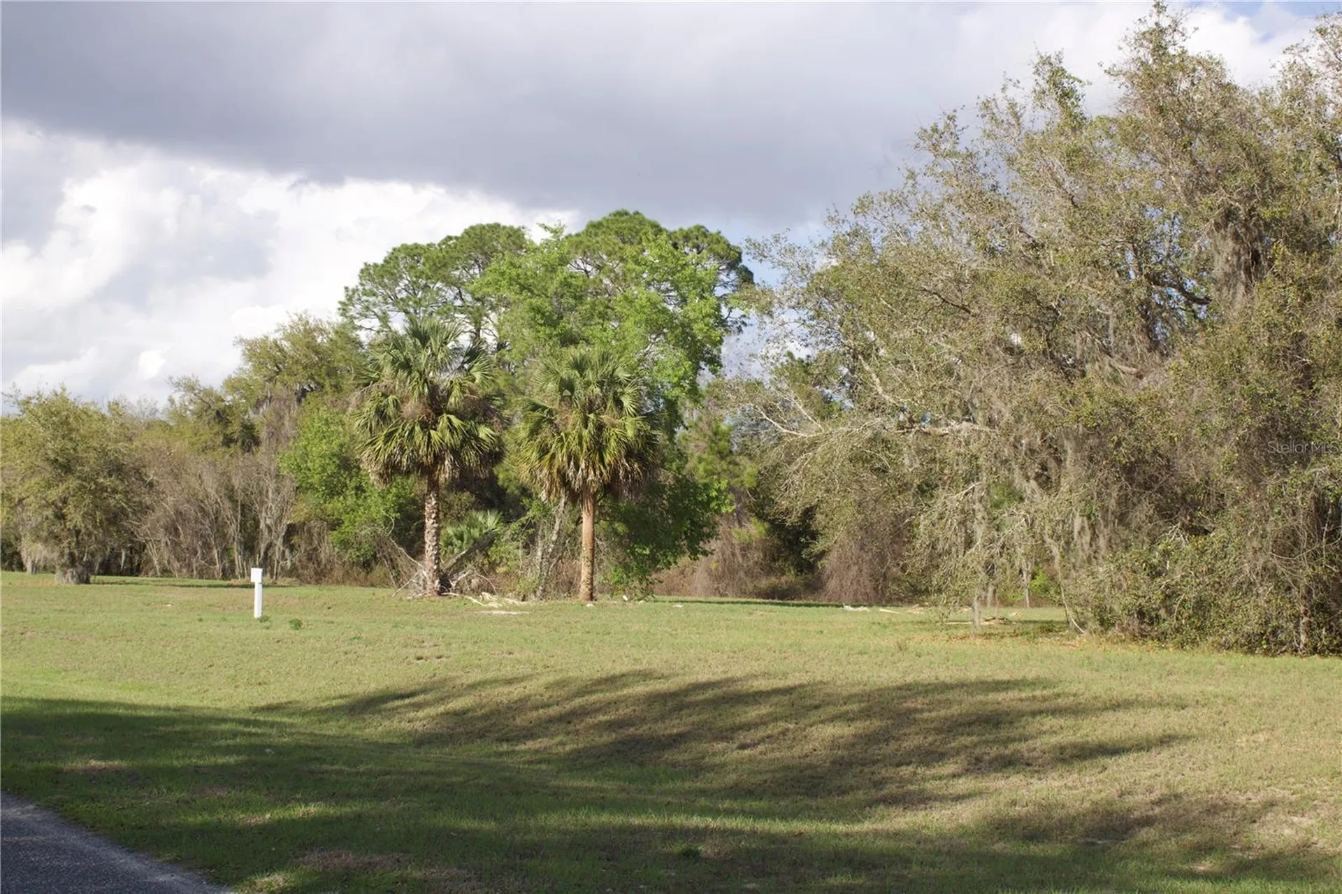 Silent Ridge Drive Tavares FL 32778